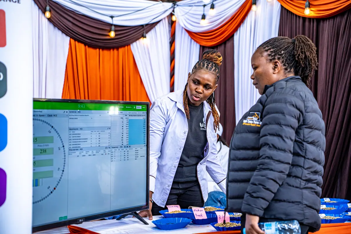 Staff showing a visitor the coffee samples next to the auction screen