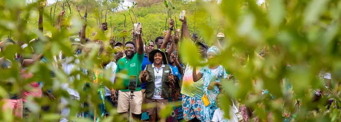 A crowd celebrating among young trees at a tree planting event
