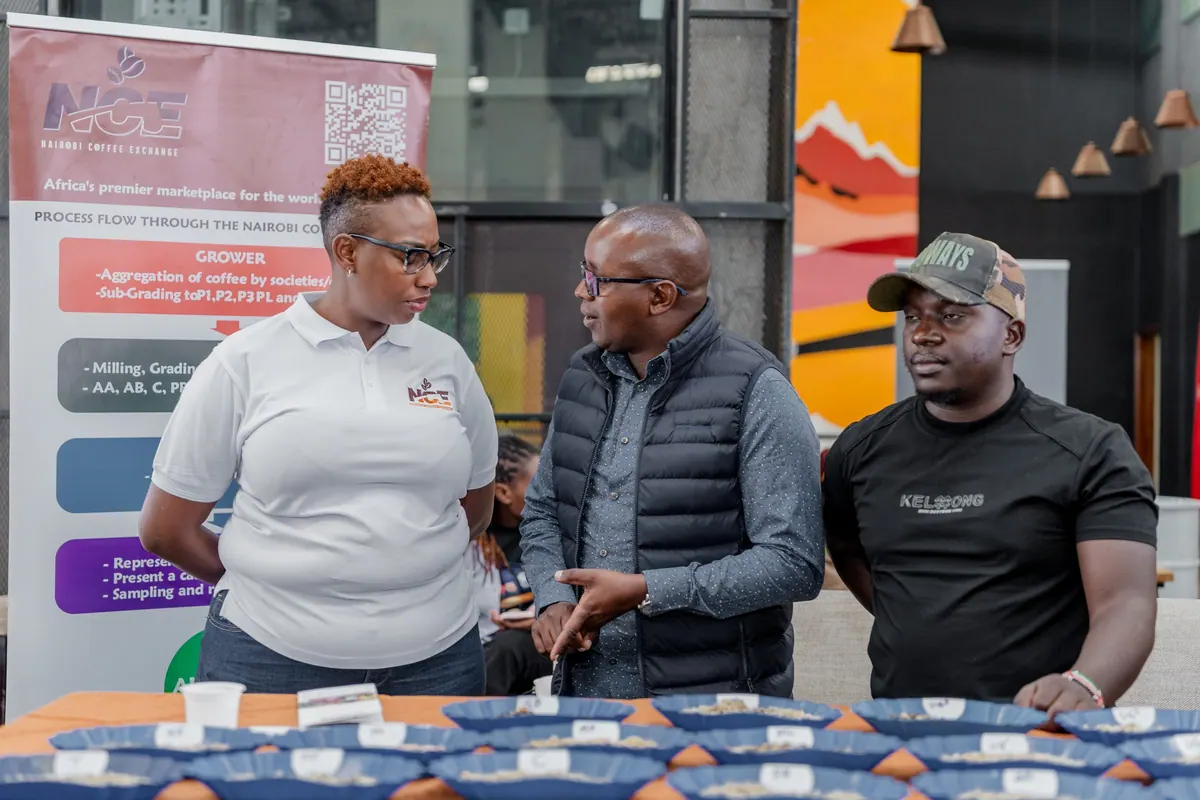 Nairobi Coffee Exchange staff talking at the cupping table